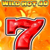 Sizzling Wild Hot 40 Slot Wildfire at Vegasino Reels